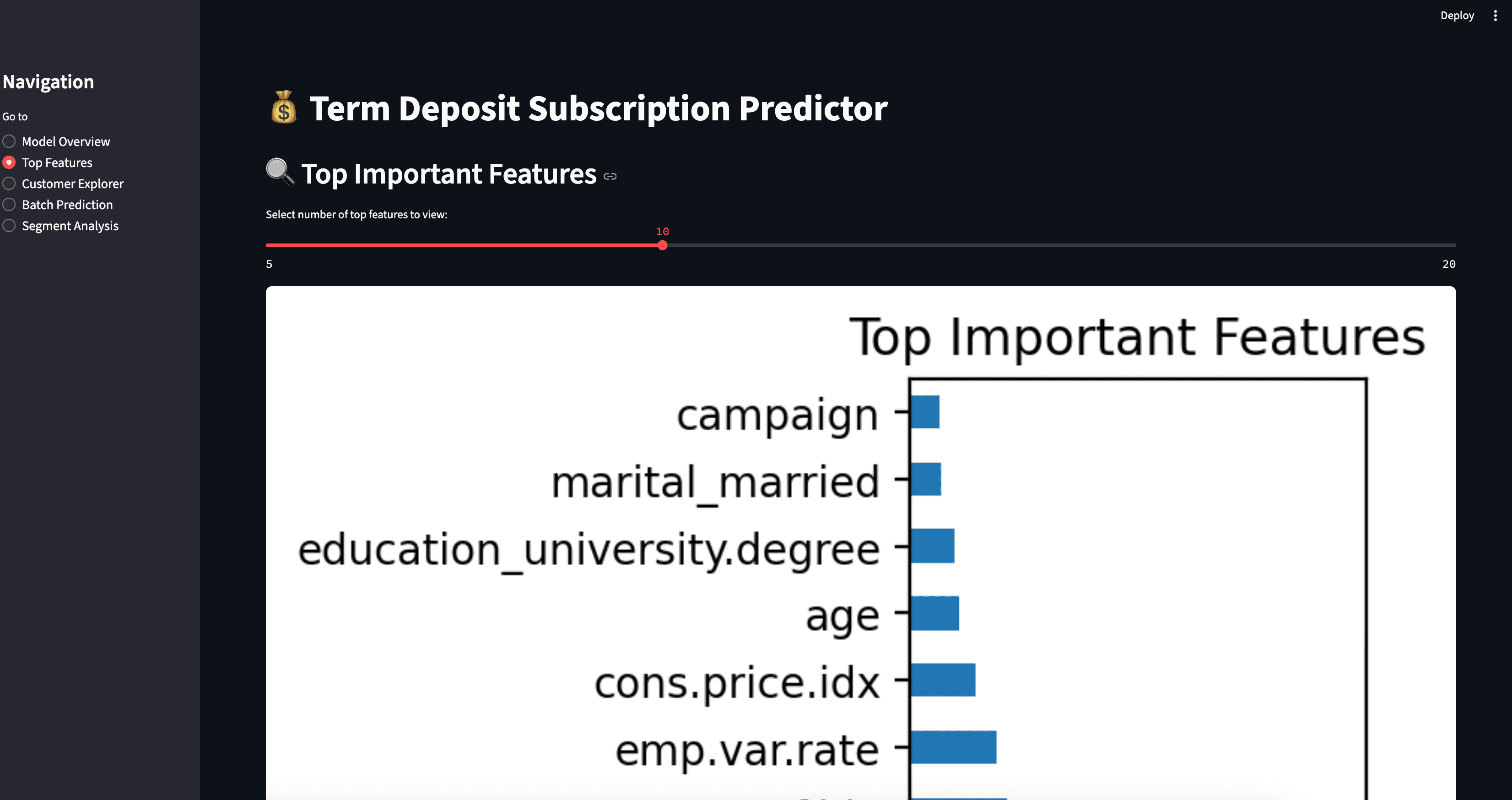 Top Important Features